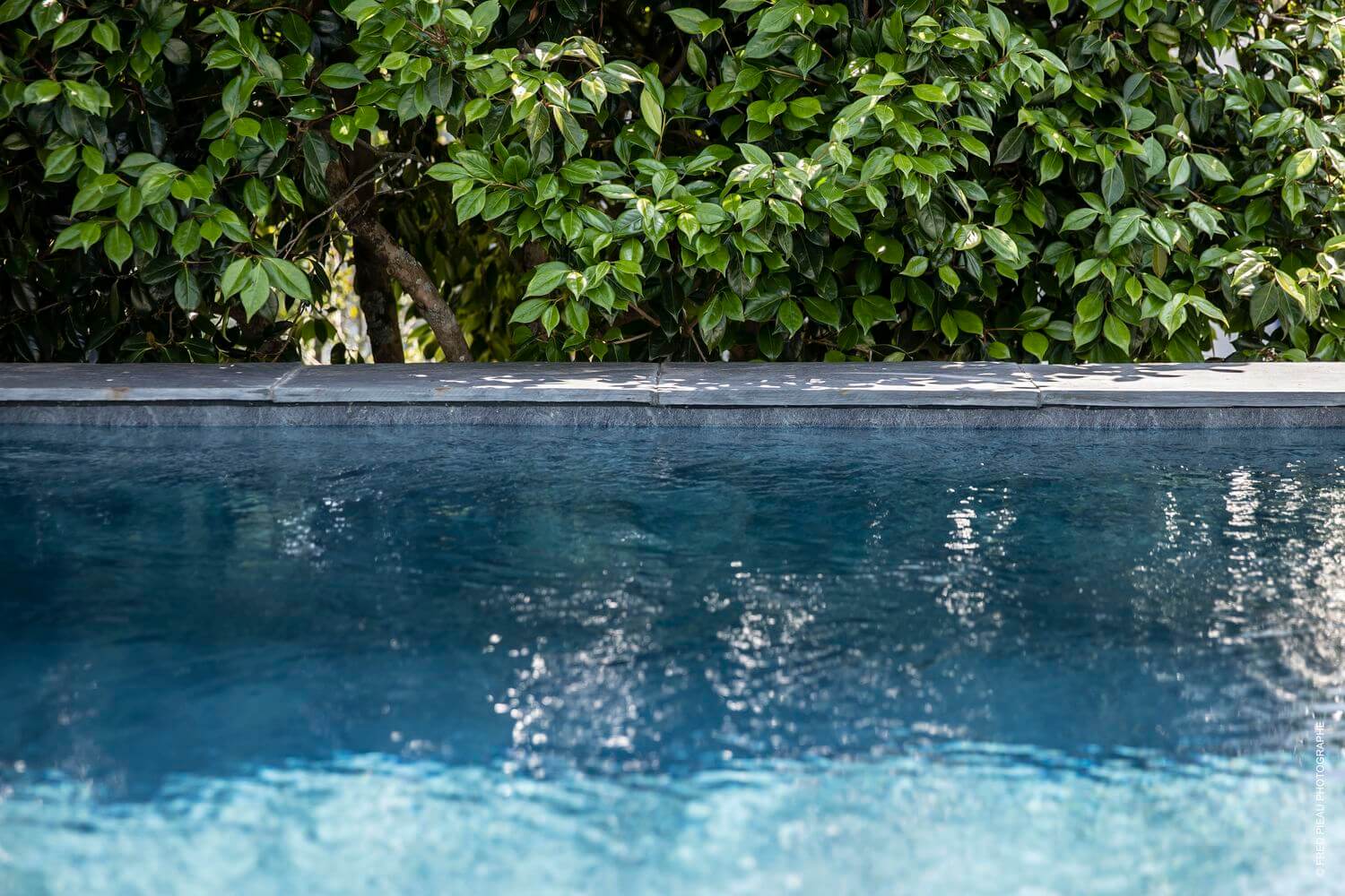 Bord de piscine avec végétation luxuriante en arrière-plan.